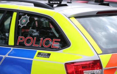 Police and Protestant Order Members Targeted in Derry Petrol Bomb Attacks