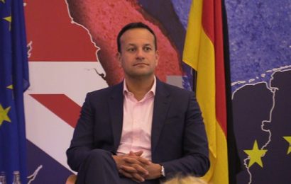 Taoiseach Accused of Failing to Make Preparations for Poll on United Ireland