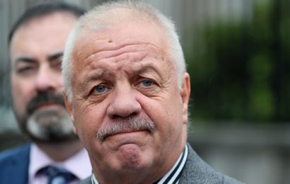 Judge Told That Courts Should Put ‘Shoulders to the Wheel’ in Brexit Challenge