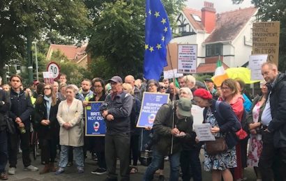 UK Citizens Protest Brexit Outside British Embassy in Dublin