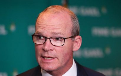 Coveney Rejects Latest British Brexit Proposals