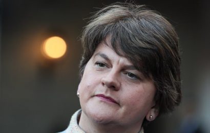 DUP Would Look at Time-Limited Backstop Says Foster