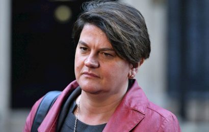 Foster Dismisses Talk of Northern Ireland-Only Backstop