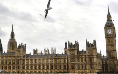 Fears Raised Over Britain’s Commitment to Abortion Reforms in The North