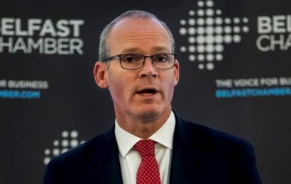 Coveney Voices Support for Flexible Brexit Extension
