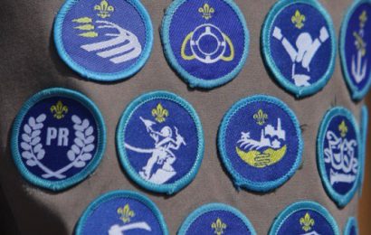Martin Calls for Official Inquiry into Historic Scouting Sexual Abuse