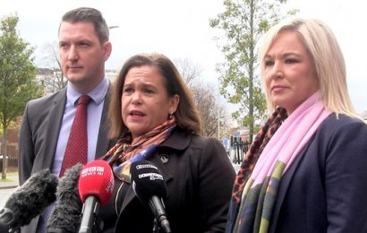 Remain Parties to Not Contest Some Constituencies to Help Candidates
