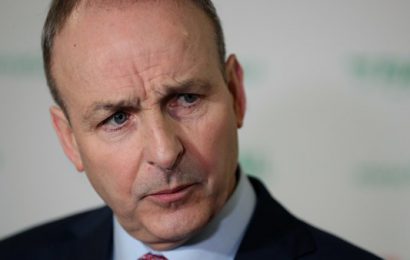 Martin Hopes to Increase Number of Female Fianna Fáil TDs in Next Election