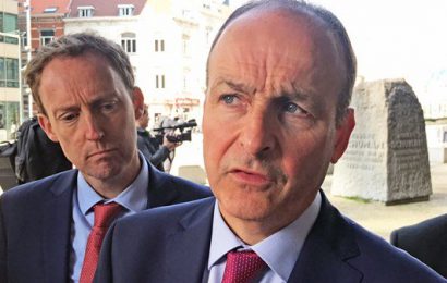 Rural Ireland Could Help Solve Housing Crisis, Says Martin