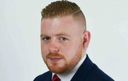 Timothy Joseph Vies to be First Traveller TD Elected from Cork
