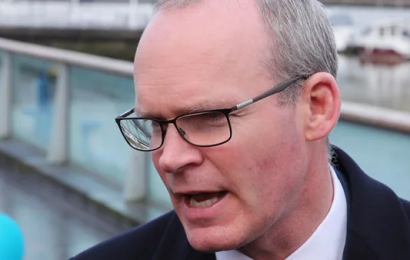 Coveney Confident of Securing Seats for Irish on French Evacuation Flight from China