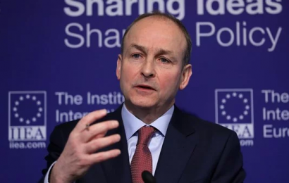 Martin Plays Down Calls for Irish Unity Poll