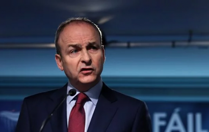 Over 30% of Fianna Fáil Candidates for Election are Women