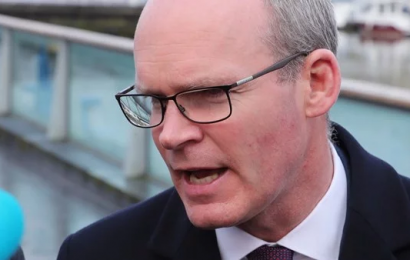 Ireland to Back WHO’s Response to Coronavirus Outbreak