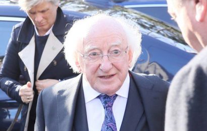 President Higgins Warns That Irresponsible Actions Must Stop Now President Higgins Warns That Irresponsible Actions Must Stop Now