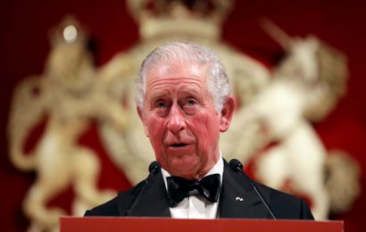 Prince Charles Reveals Pandemic Postponed Planned Trip To Ireland