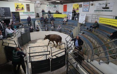 Reopening Of Marts Leads To Increased Demand For Livestock