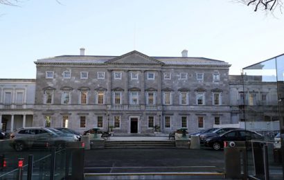 UN Flag To Fly At Leinster House While Ireland Serves On Security Council