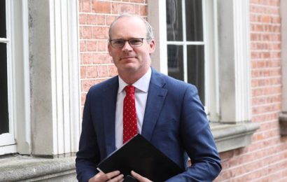 Opposition To Occupied Territories Bill Based On Legal Advice Says Coveney