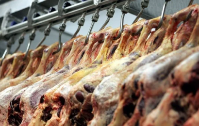 Oireachtas’ Covid-19 Committee Hears That Not All Meat Packing Plants Give Sick Pay
