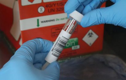 North Reports Highest Weekly Coronavirus Death Toll Since Pandemic Began