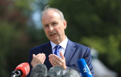 Martin Vows To Lead Fianna Fáil Into Next Election