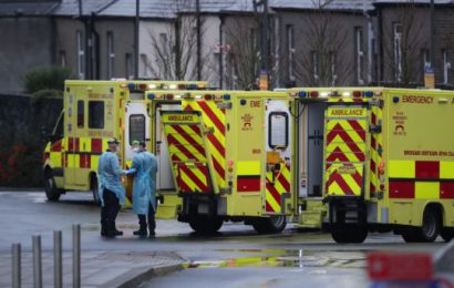 Ireland’s Health Service Will Be Stretched To The ‘Absolute Limit’ By Missed Care Tsunami