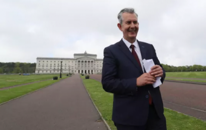 Poots Vows To Unite Unionism After Winning DUP Leadership Vote