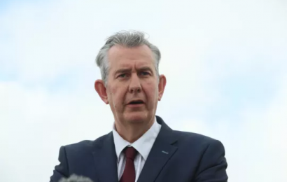 Poots Says Getting Rid Of Northern Ireland Protocol Is His Top Priority