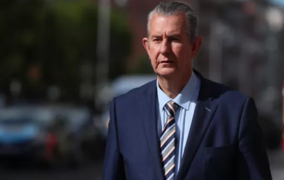 Poots Vows To Bring Forward Irish Language Legislation `As Quickly As Possible`