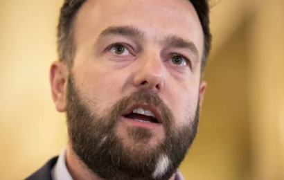 SDLP Will Legislate Irish Language Law In UK Parliament If Stormont Fails To Act