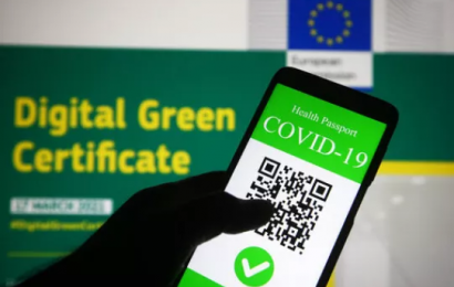 Up To One Million Digital Green Certificates To Be Issued This Week