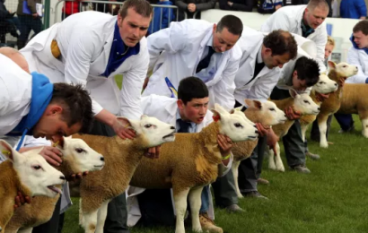 Walk-In Vaccination Centers To Be Set Up At North’s Largest Agricultural Show