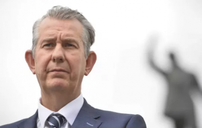 Poots: EU Is Damaging Peace Process With Insistence On NI Protocol