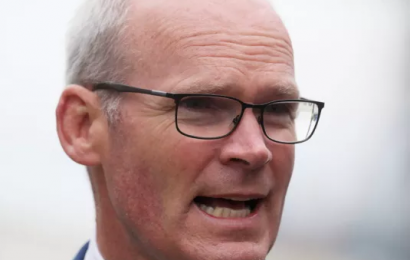 Coveney To Appear Before Oireachtas Committee To Answer Questions On Zappone Appointment