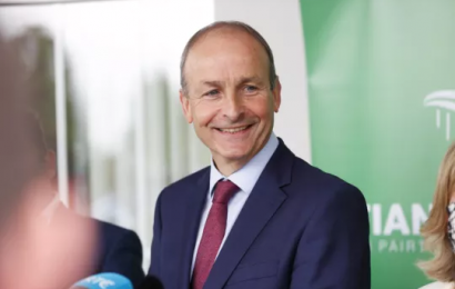 Taoiseach Rules Out Investigation Into Cabinet’s Zappone Leak