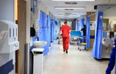 Sinn Féin Accuses The Government Of Failing To Invest In Healthcare Service