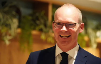 Coveney: Britain ‘Not Likely’ To Invoke Article 16