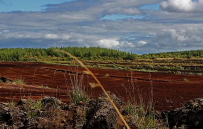Government Delays Release Of Report On Alternatives To Peat