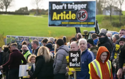 Campaigners Gather At Border To Warn Against Triggering Of Article 16
