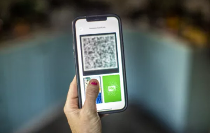 Northern Economy Minister Calls For Covid Certs To Be Dropped