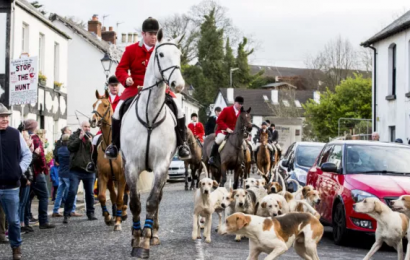 Stormont To Debate Banning Hunting With Dogs