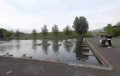 Belfast Park Closed Due To Avian Flu Outbreak