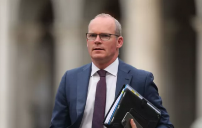 Coveney Welcomes Brexit Agreement On Supply Of Medicines To The North