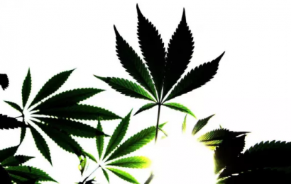 Hopes Of Citizens Assembly On Drug Use This Year Grows For Campaigners