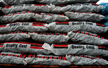 Oireachtas Committee Told That Political Leadership Needed On Climate Change