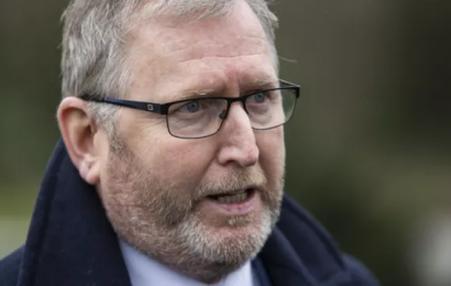 UUP Leader Warns That Anti-NI Protocol Protests Are Rising Tensions