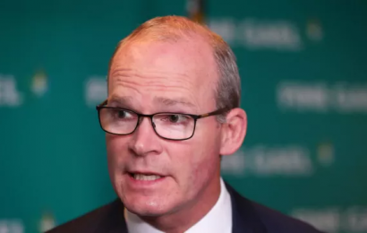 Coveney Calls On Security Council To Secure Peace In Ukraine