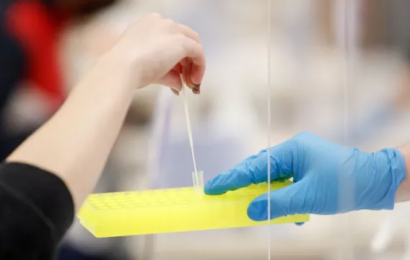 Small Number Of Omicron XE Variant Reported In The North