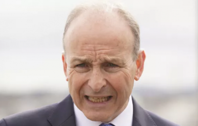 Lessons Need To Be Learned From Holohan Controversy Says Taoiseach